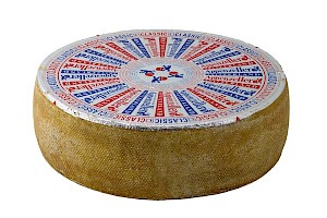 Appenzeller
